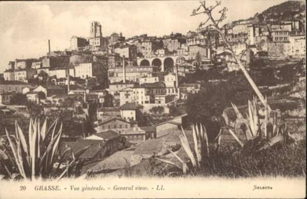 Grasse