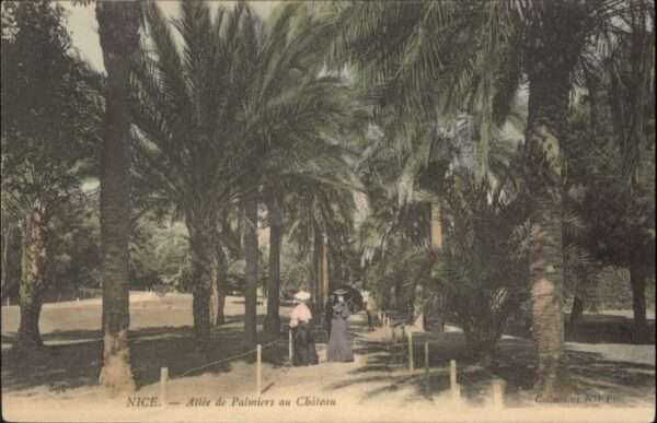 Nice Alpes Maritimes Nice Allee Palmiers Chateau