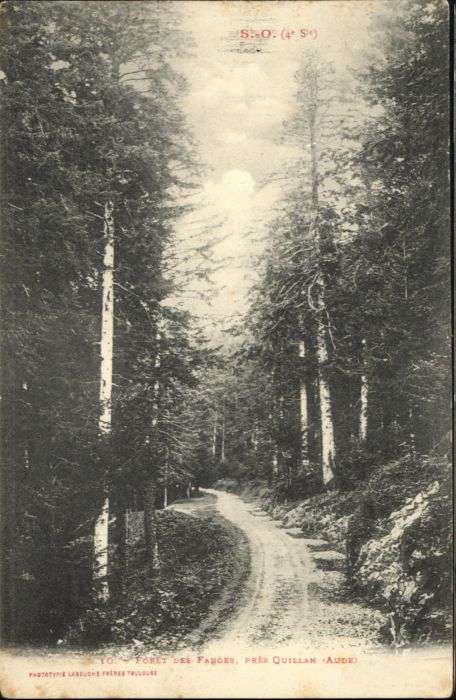 Quillan Aude Foret Fanges