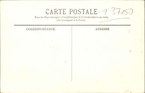 Chenonceaux Chateau Schafe – Bild 2