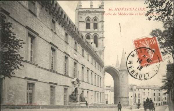 Montpellier Herault Montpellier Ecole Schule Medecine Cathe