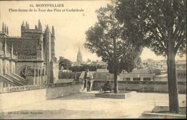 Montpellier Herault Montpellier Tour Pins Cathedrale