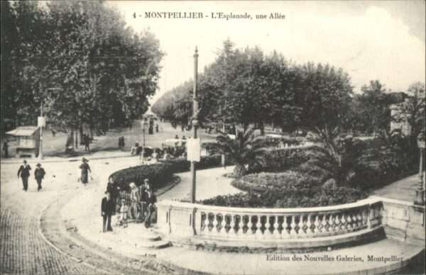 Montpellier Herault Montpellier Esplanade Allee
