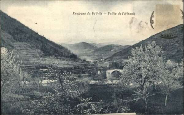 Le Vigan Lot Le Vigan Vallee Herault