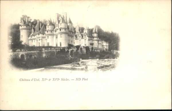 Rigny-Usse Chateau