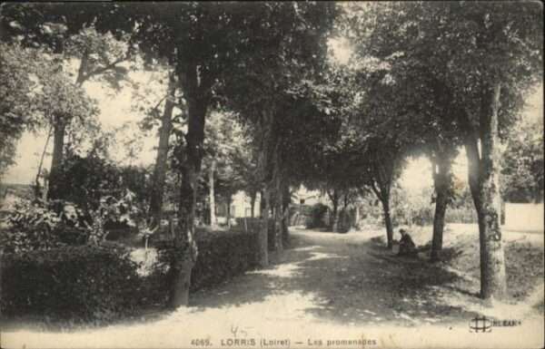 Lorris Loiret Promenades