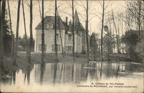 Mesanger Chateau Pas-Nantals