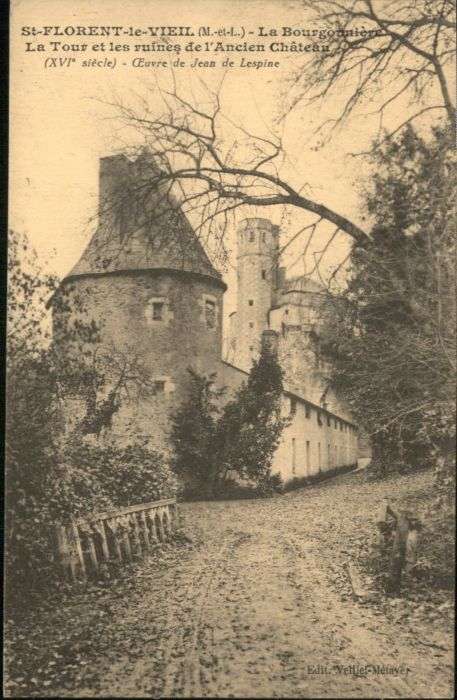 Saint-Florent-le-Vieil Bourgonniere Tour Ruines Chateau
