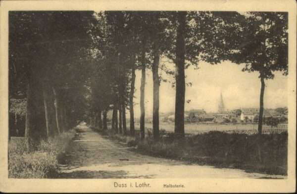Duss Lothringen Halbuterie
