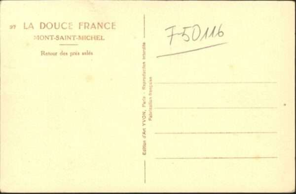 Le Mont-Saint-Michel Sales Schafe – Bild 2