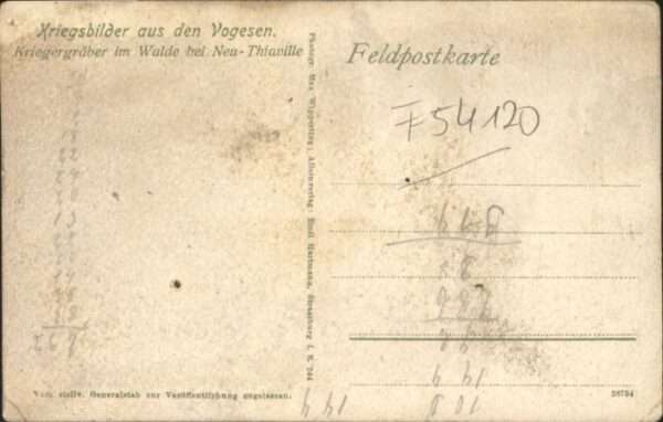 Thiaville-sur-Meurthe ? Neu-Thiaville Grab – Bild 2