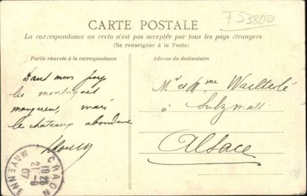 Saint-Martin-du-Limet Chateau Ansaudiere – Bild 2