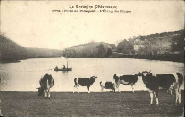 Paimpont Foret Etang Forges Kuh