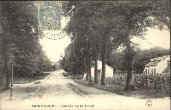 Montargis Loiret Montargis Foret