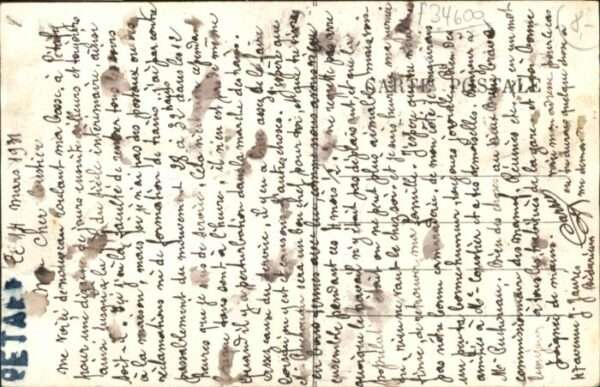 Bedarieux Schwalbe – Bild 2
