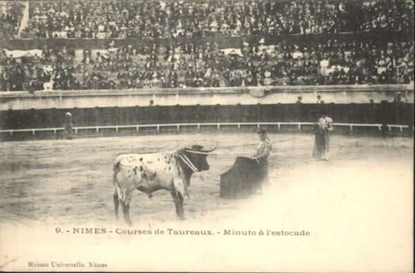 Nimes Courses Taureaux Estocade Stierkampf