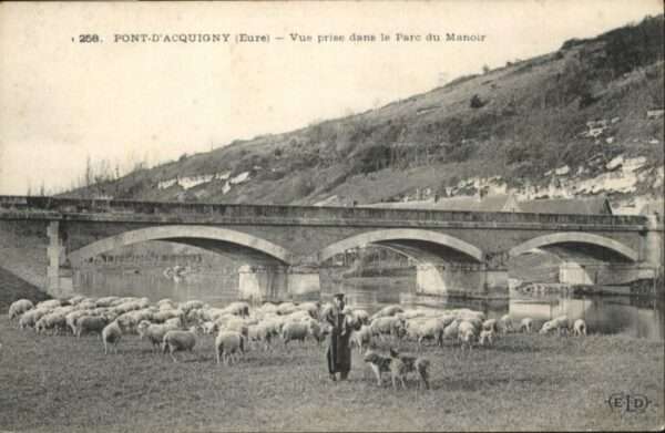 Acquigny Pont Parc Manoir Schafe Schäfer Hund