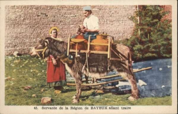 Bayeux Esel Transport