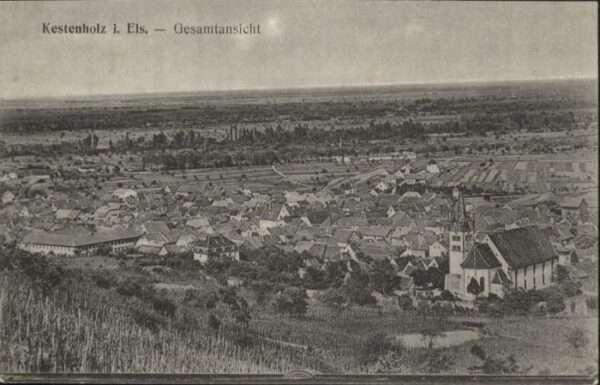 Kestenholz Elsass