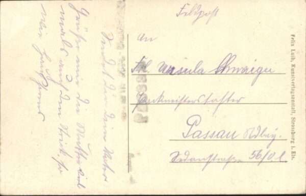 Kestenholz Elsass – Bild 2