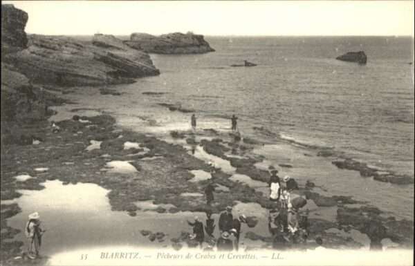 Biarritz Pyrenees Atlantiques Biarritz Pecheurs Crabes Crevettes