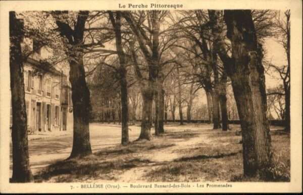 Belleme Orne Boulevard Bansard-ds-Bois Promenad
