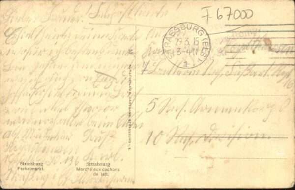 Strasbourg Alsace Strassburg Elsass Strasbourg Ferkelmark – Bild 2