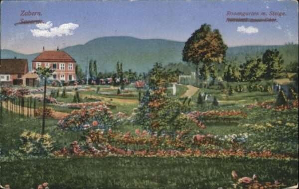 Zabern Saverne Zabern Rosieres avec cote