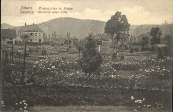 Zabern Saverne Zabern Rosieres avec cote