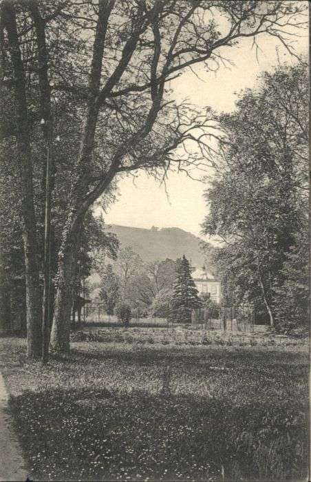 Niederbronn-les-Bains Niederbronn-les-Baines Villa de Dietric