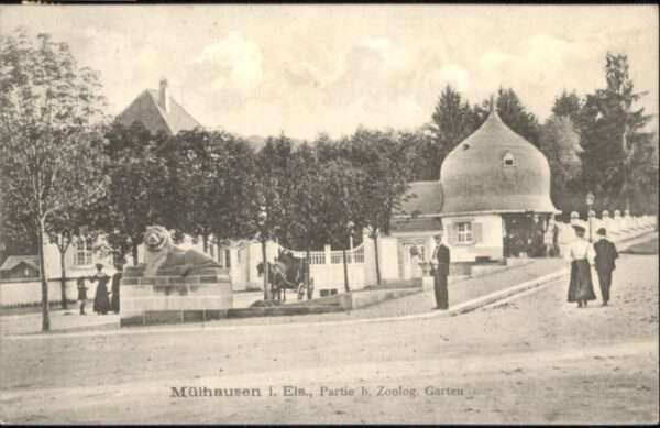 Mulhouse Muehlhausen Mulhouse Mülhausen Zoologischer Garten