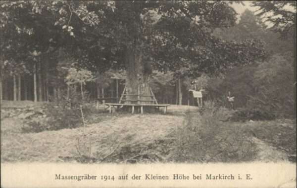 Markirch Massengräber 1914 Kleine Höhe x