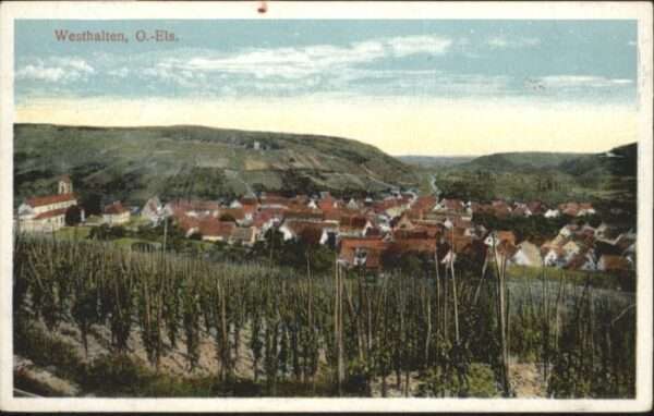 Westhalten