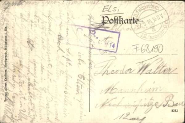 Ensisheim Rathaus – Bild 2