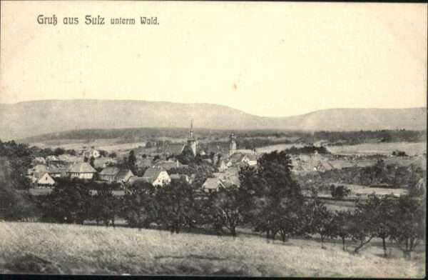 Sulz Elsass unterm Wald