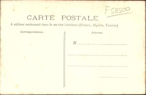 Nivernais Kühe – Bild 2