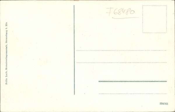 Pfirt Ferrett – Bild 2