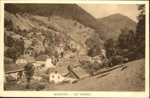 Wildenstein Kaernten Wildenstein Vue generale