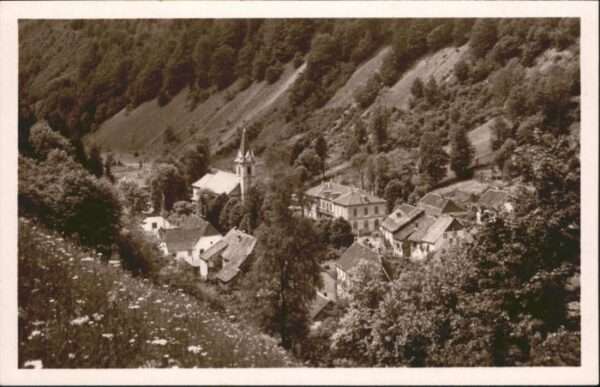 Wildenstein Kaernten Wildenstein Cure Villegiature Centre d