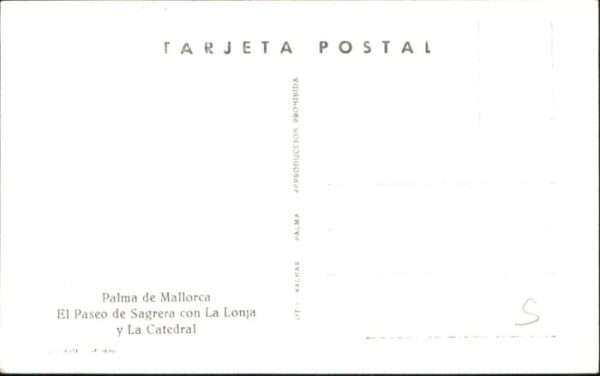 Palma de Mallorca Lonja Catedral Paseo Sagrera – Bild 2