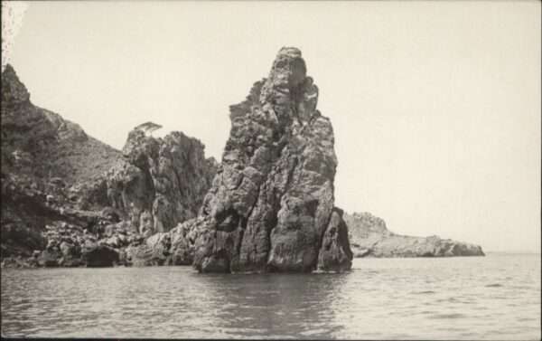 Puerto Pollensa Nido Aguila