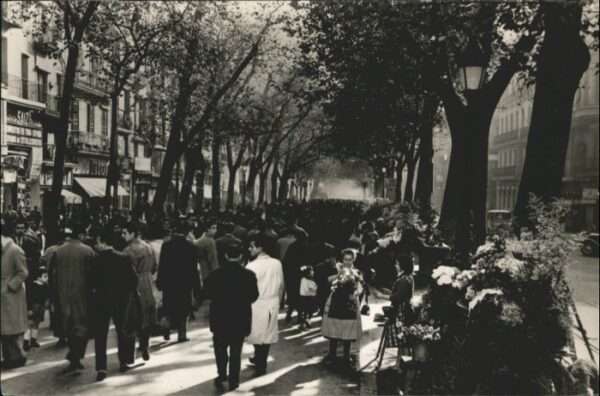 Barcelona Cataluna Barcelona Rambla Flores