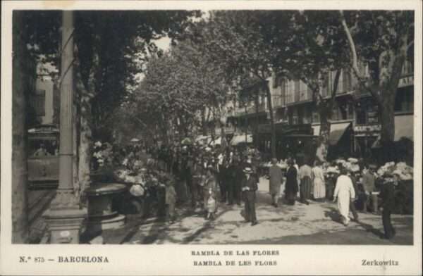 Barcelona Cataluna Barcelona Rambla Flores