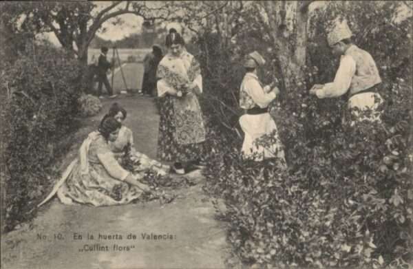 Valencia Valenciana Valencia Cullint Flors