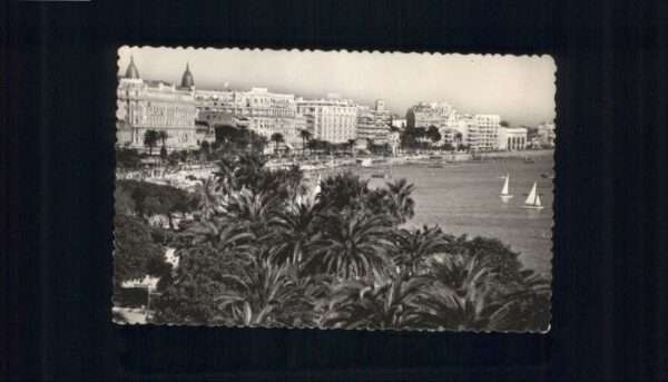 Cannes Alpes-Maritimes Cannes Les Jardins Les Hotels sur la Cr