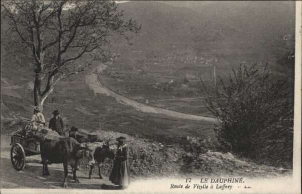 Dauphine
