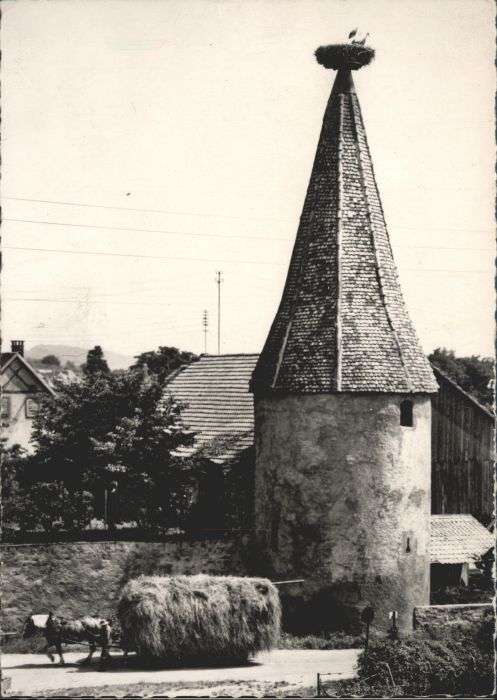 Ribeauville La Tour Sud