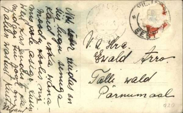Viljanoi Lossivaremeo – Bild 2