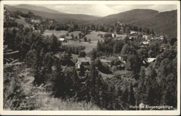 Hain Riesengebirge Reifträger