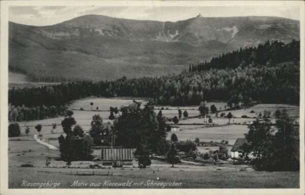 Kiesewald Schneegruben Riesengebirge